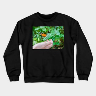 Orange butterfly Crewneck Sweatshirt